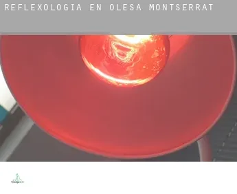 Reflexología en  Olesa de Montserrat