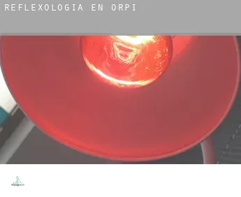 Reflexología en  Orpí