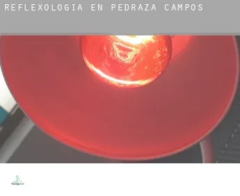 Reflexología en  Pedraza de Campos