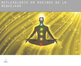 Reflexología en  Rosinos de la Requejada