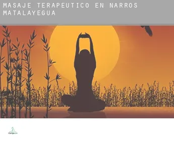 Masaje terapeútico en  Narros de Matalayegua