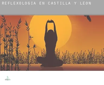 Reflexología en  Castilla y León