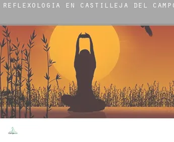 Reflexología en  Castilleja del Campo