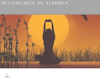 Reflexología en  Olèrdola