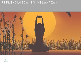 Reflexología en  Velamazán