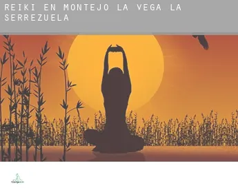 Reiki en  Montejo de la Vega de la Serrezuela